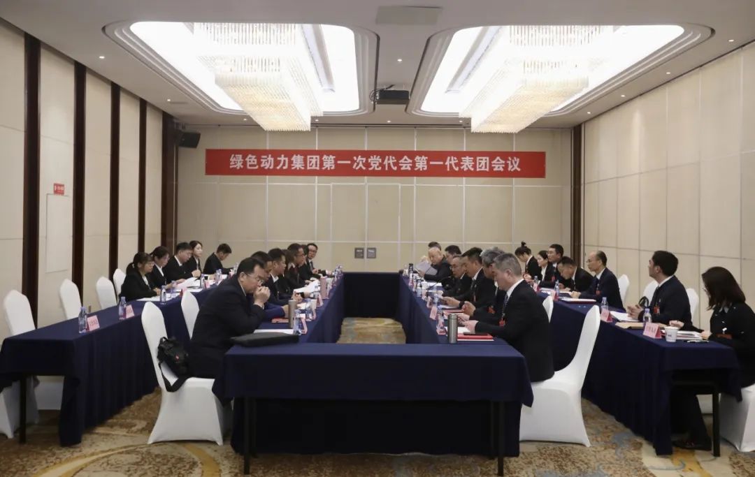 铭刻使命再出发，，，，，，代表热议“两委”报告